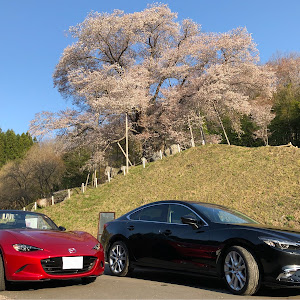 ロードスター ND型