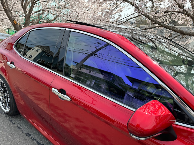 カムリの70カムリ・桜とコラボ・ドライブ・桜に関するカスタム事例の投稿画像9枚目
