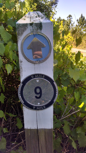 Nine Mile Post On Blue Trail 