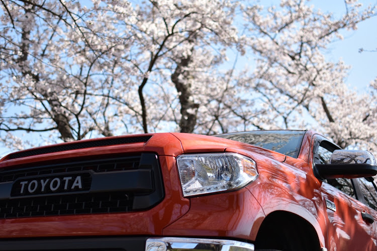 タンドラの桜コラボ・朝活・ドライブ・こだわりアングルに関するカスタム事例の投稿画像2枚目
