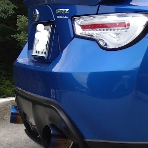 BRZ ZC6