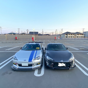 86 ZN6