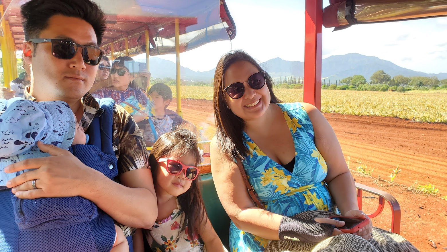 Review of Visiting Dole Plantation