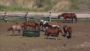 Montana: Butte to Deer Lodge thumbnail