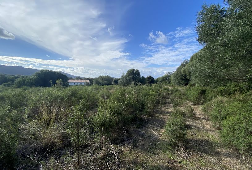  Vente Terrain à bâtir - 12 588m² à Figari (20114) 