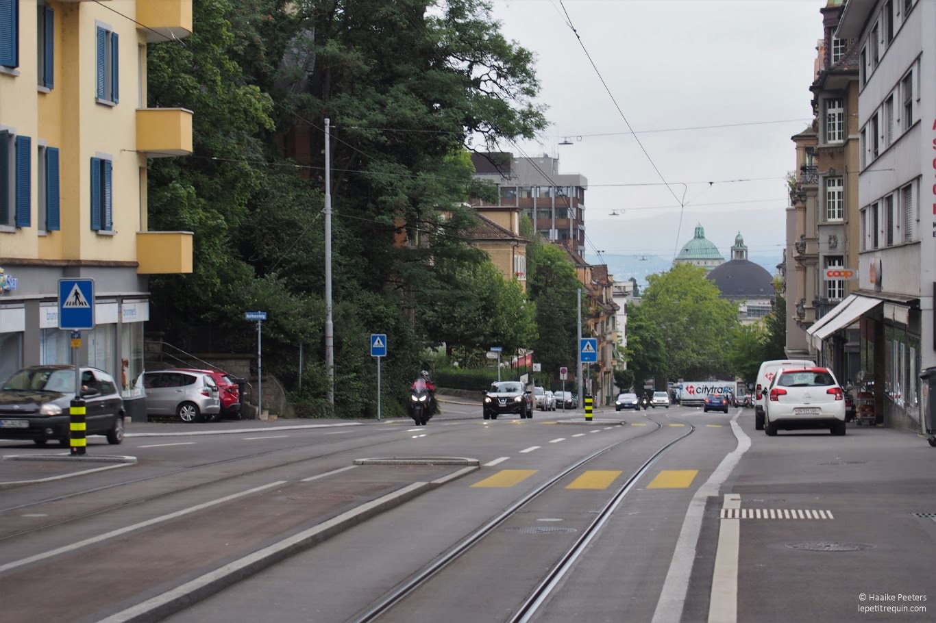 Zürich (Le petit requin)