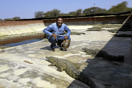 Bitten by love for crocodiles, reptile farmer is scaling up