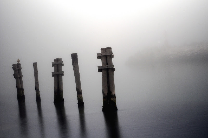 guardiani nella nebbia di mousix