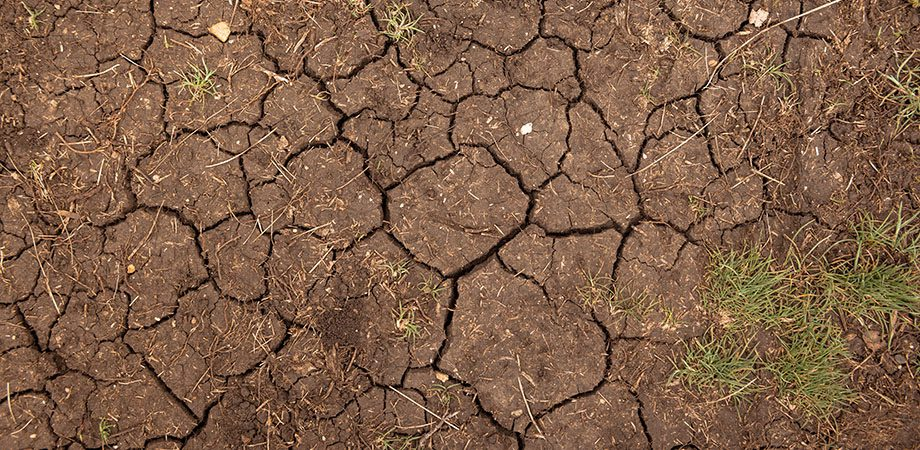 Compacted Soil