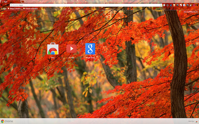 Forest At Fall chrome extension