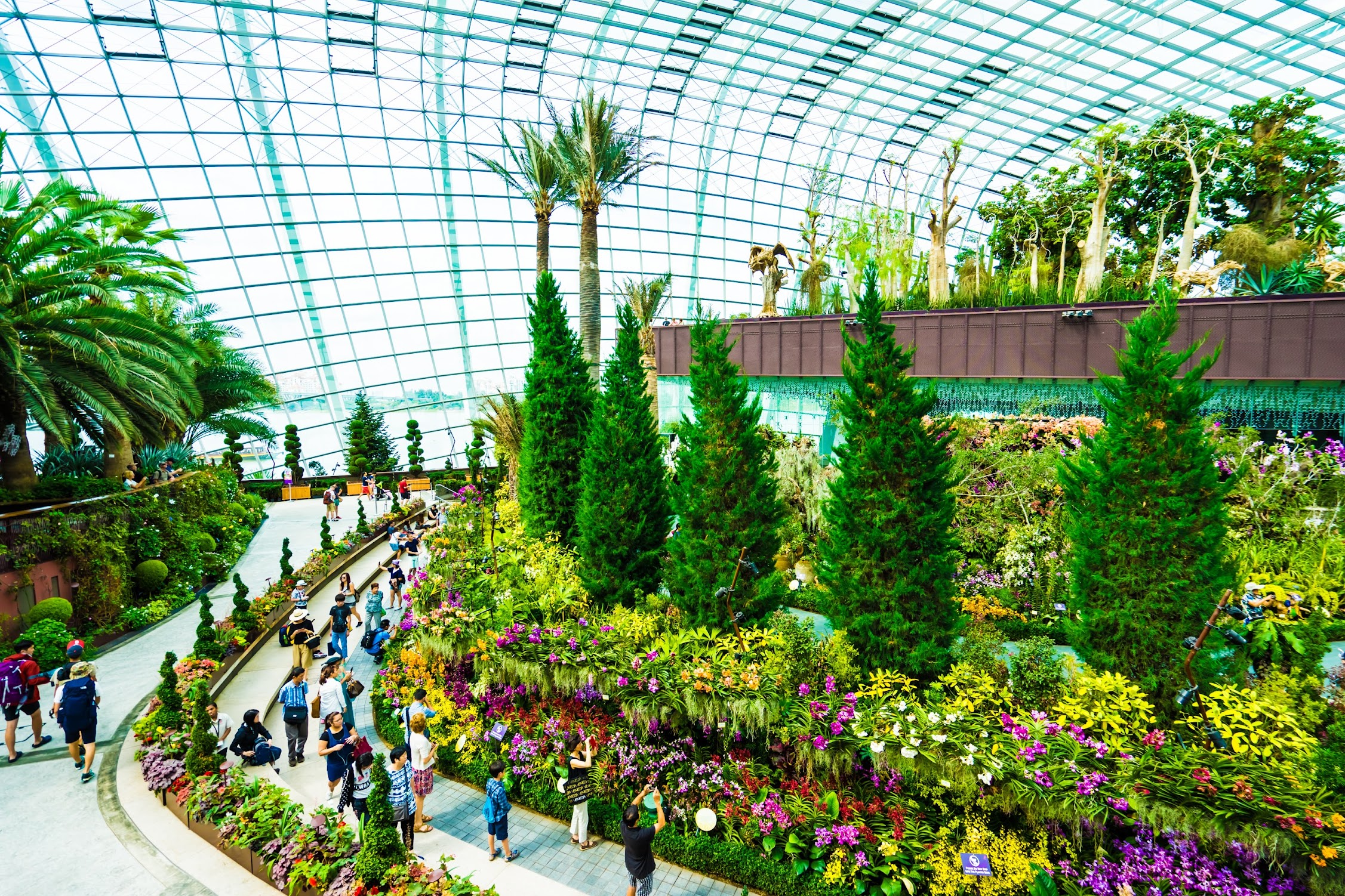 Gardens by the Bay Flower Dome2