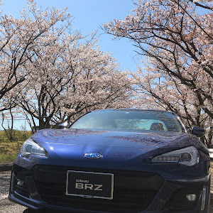 BRZ ZC6