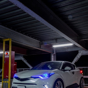 C-HR NGX10