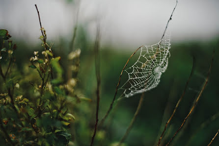 Fotógrafo de bodas Irina Slobodskaya (slobodskaya). Foto del 5 de septiembre 2019