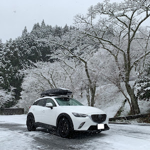 CX-3 DK5AW