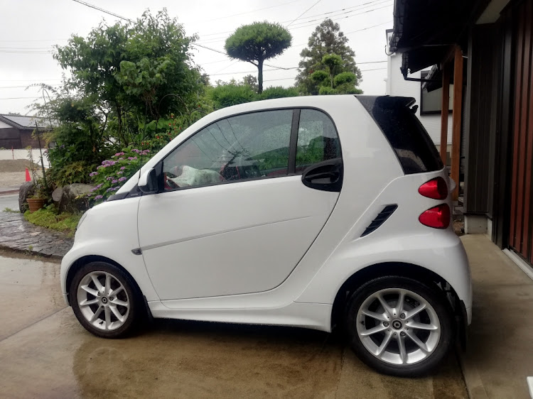 フォーツーエレクトリックドライブのスマート・紫陽花・父の日に関するカスタム事例の投稿画像1枚目