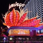 Flamingo's at Flamingo Casino Las Vegas Review