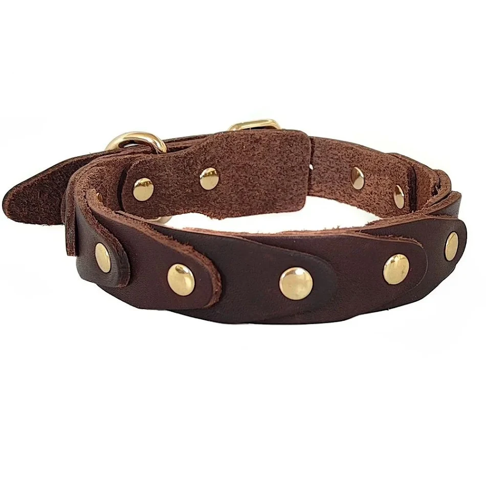 Echte lederen hondenriem met duurzame gesp voor Franse Schnauzers en Border Collies. Robuust en comfortabel.