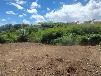 terrain à batir à Sainte Anne (971)