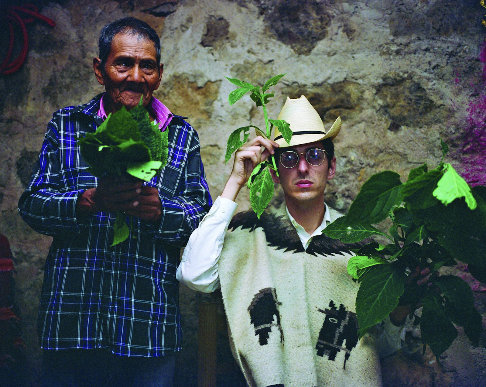 Foto colorida de um curandeiro e um psiconauta segurando folhas de Sálvia Divinorum, com parede de pedras ao fundo