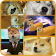 Download Dog Memes For PC Windows and Mac