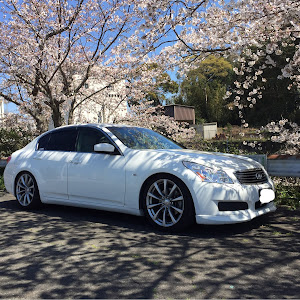 スカイライン V36
