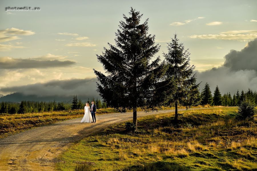 Wedding photographer Vasile Domocos (vasiledmc). Photo of 3 July 2019