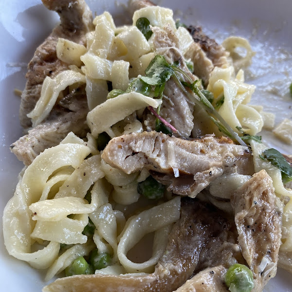 Gf Fettuccine with grilled chicken and Alfredo sauce