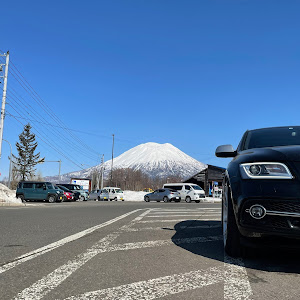 S Q5 8R型