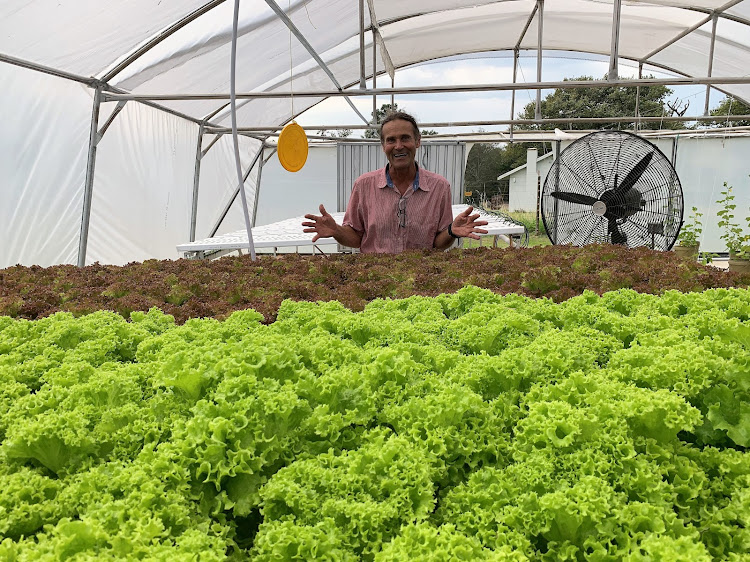 Tsitsikamma Village Inn owner and general manager Chris Sykes and his flourishing aquaponics tunnel