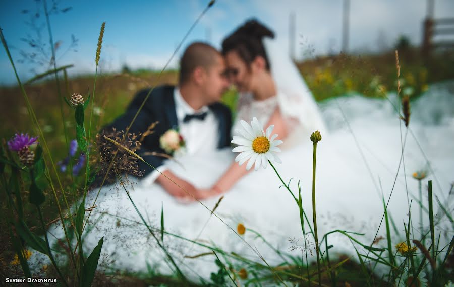 Wedding photographer Sergey Dyadinyuk (doger). Photo of 19 February 2017