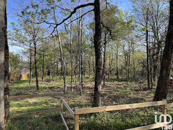 terrain à Notre-Dame-de-Riez (85)