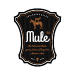 Logo for Mule 2.0