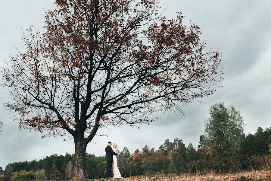 Wedding photographer Yana Gaevskaya (ygayevskaya). Photo of 14 November 2017