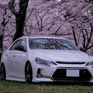 マークX GRX133