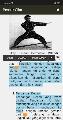 Belajar Pencak Silat Asli Indonesia