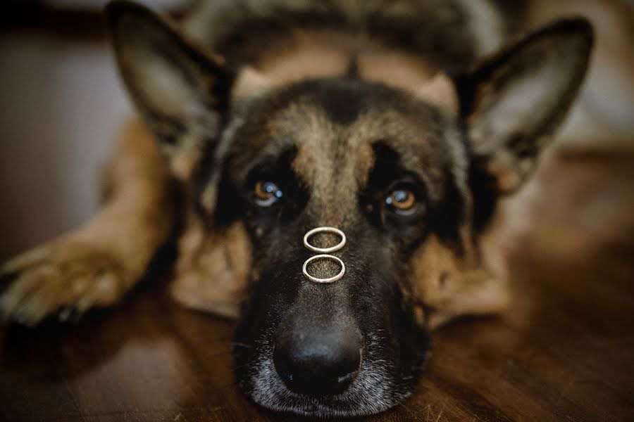 Fotógrafo de casamento Pietro Moliterni (moliterni). Foto de 31 de outubro 2017