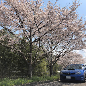 インプレッサ WRX STI