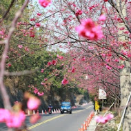 千樺花園餐廳