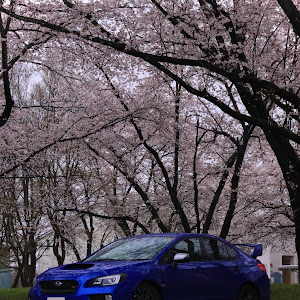 WRX STI VAB