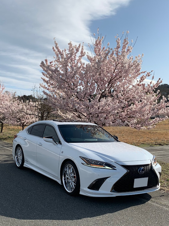 ESの桜とコラボ🌸・サクラと愛車に関するカスタム事例の投稿画像1枚目