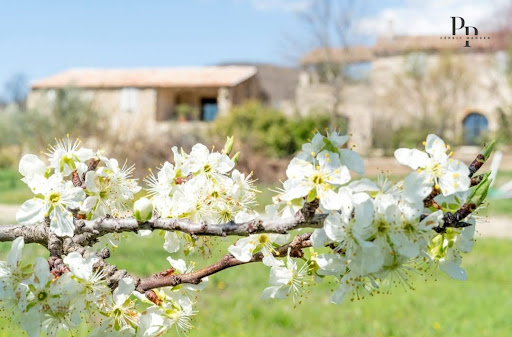 Property with pool and garden 5