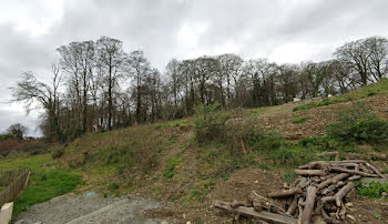 terrain à Landerneau (29)