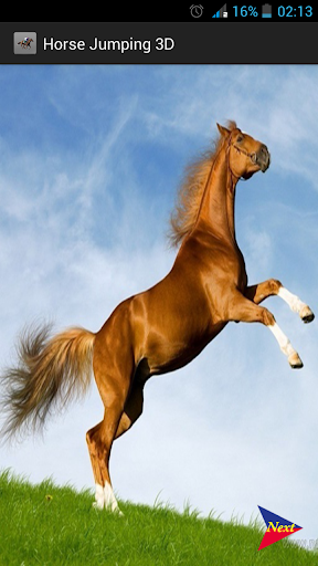 Horse Jumping 3D