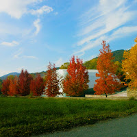 Cromie d'autunno di 