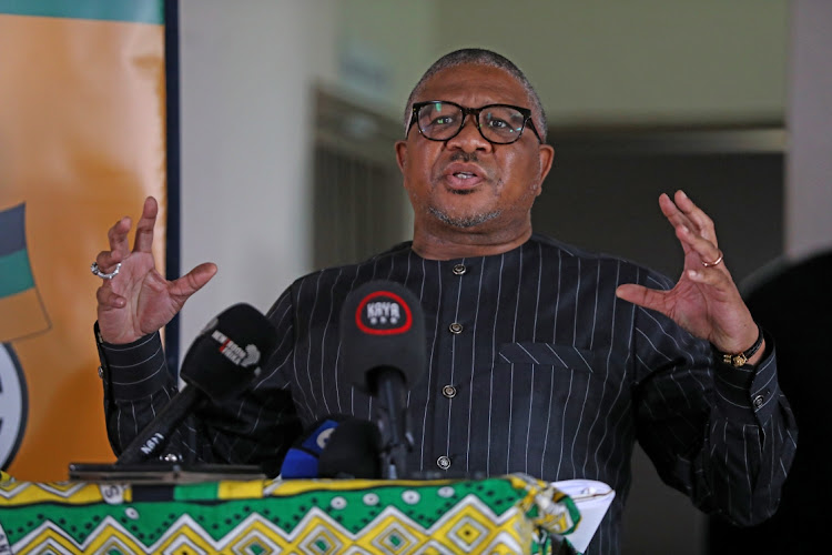 Fellow politicians have reacted to ANC secretary-general Fikile Mbalula's call for the Scorpions to return. File photo.