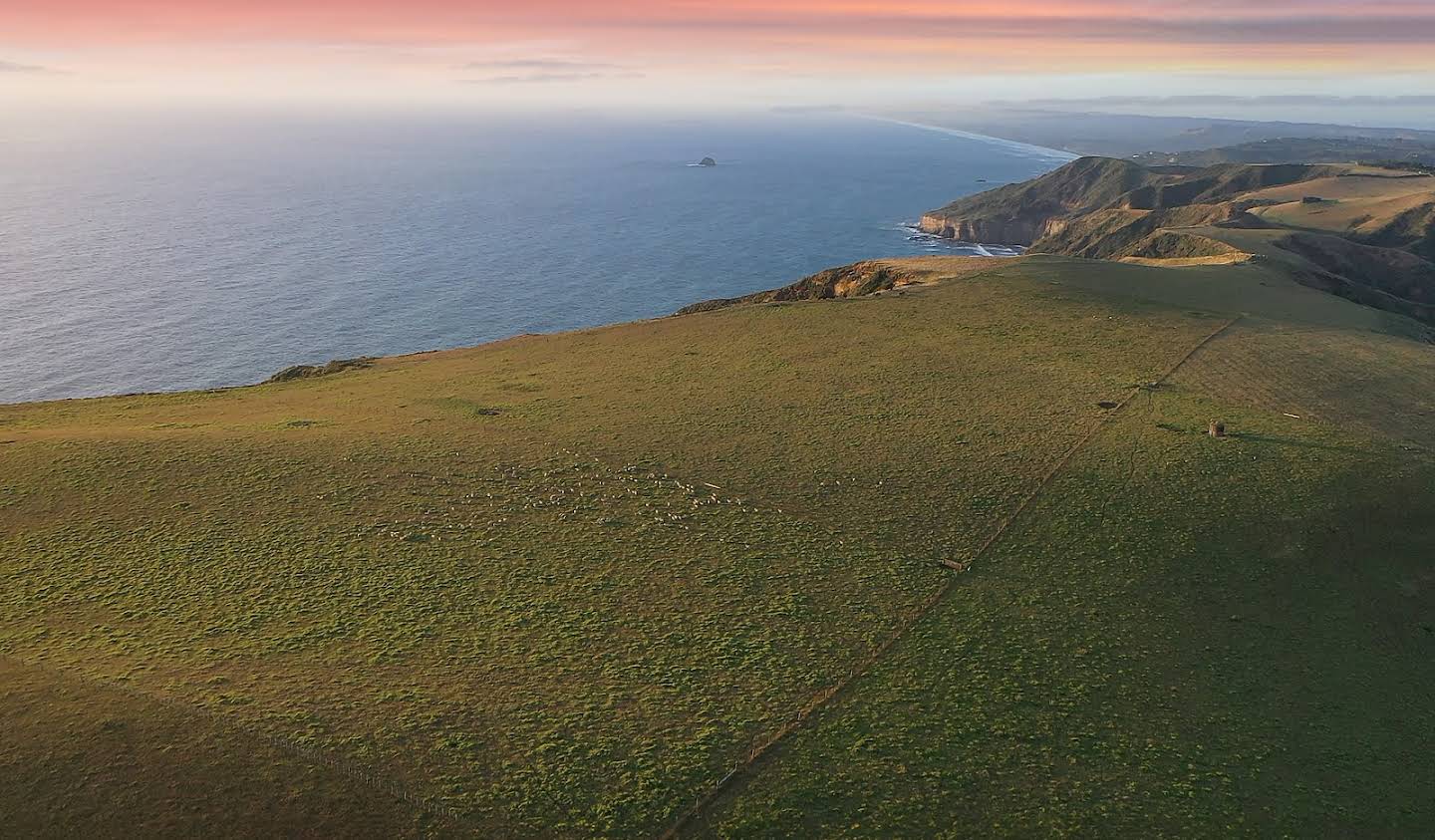 Corps de ferme avec jardin Muriwai