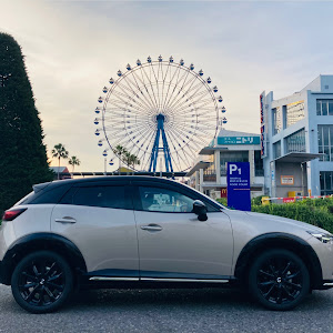 CX-3