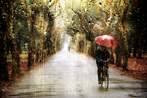 under the rain di Gabriele Pardini