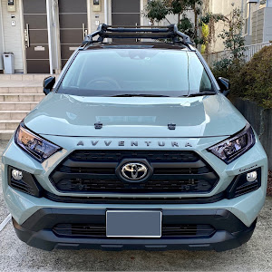 RAV4 MXAA54